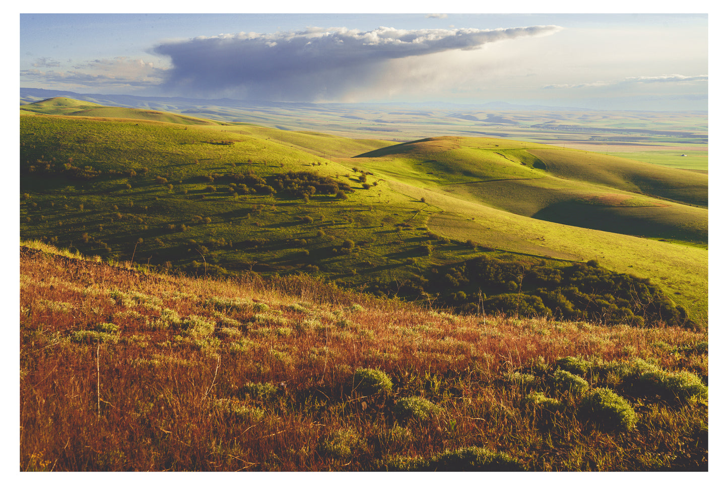 Rolling Hills