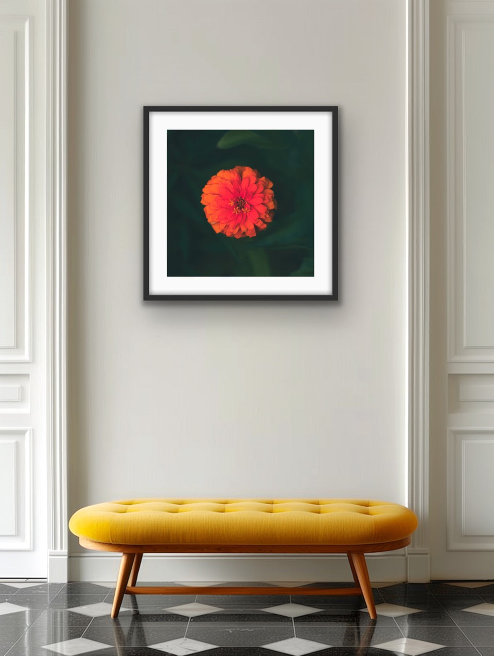 Zinnia