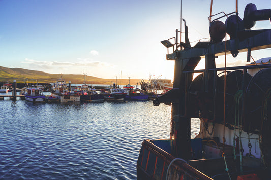 Dingle Docks
