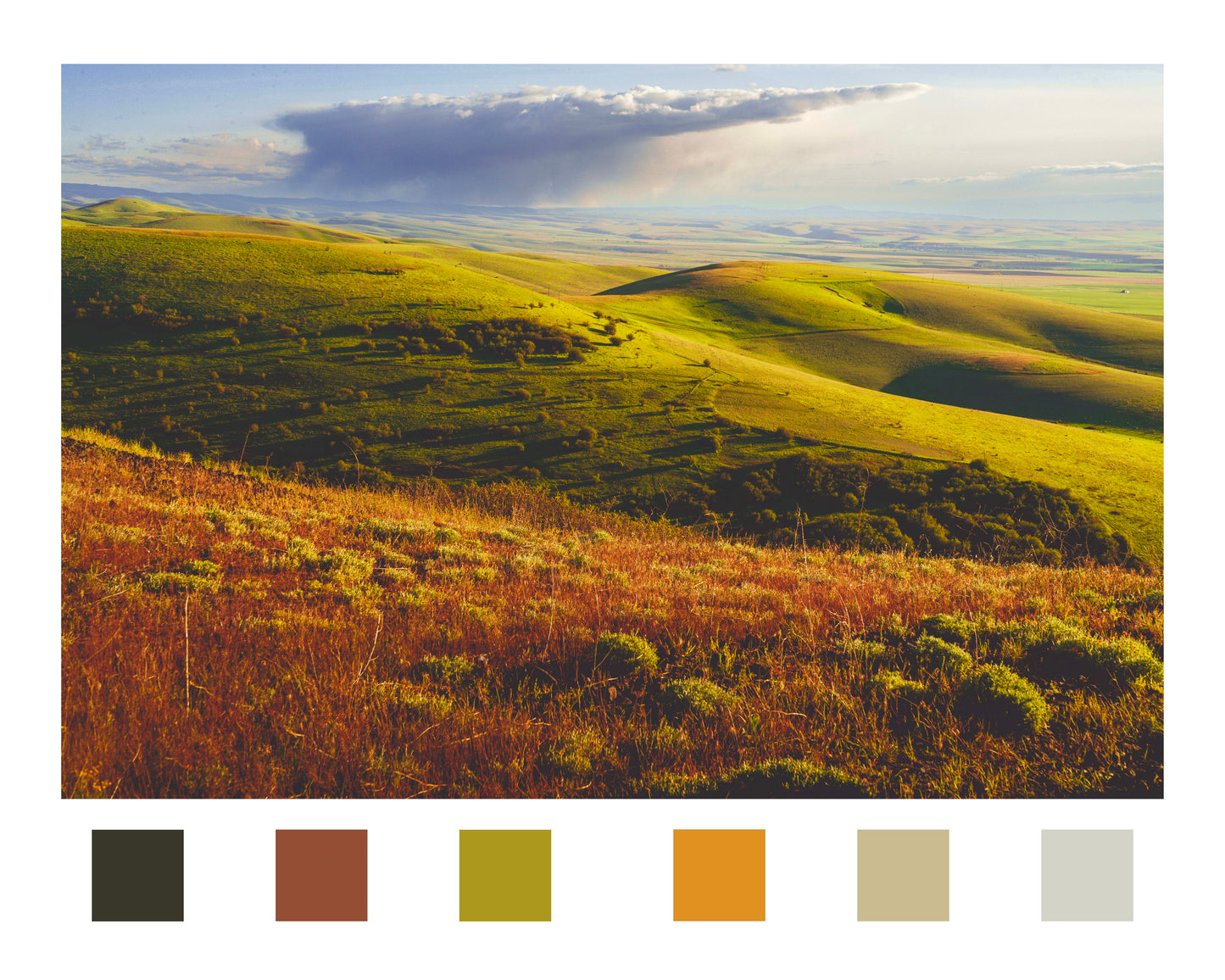 Giclée - Rolling Hills