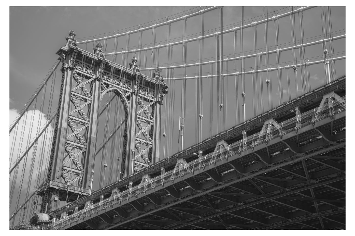 Dumbo