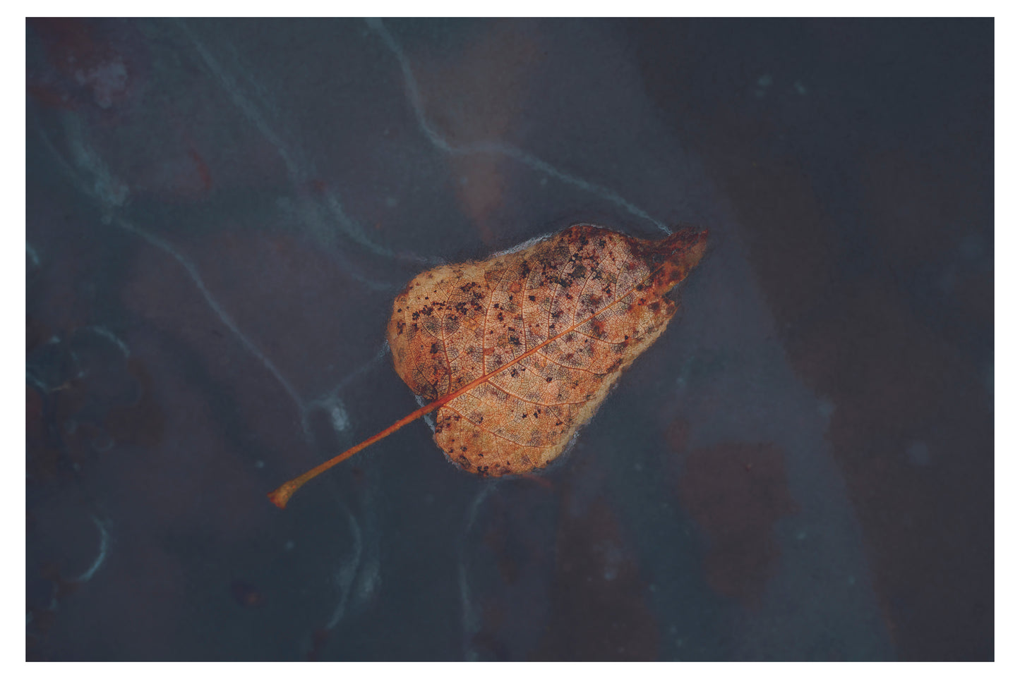 Fallen