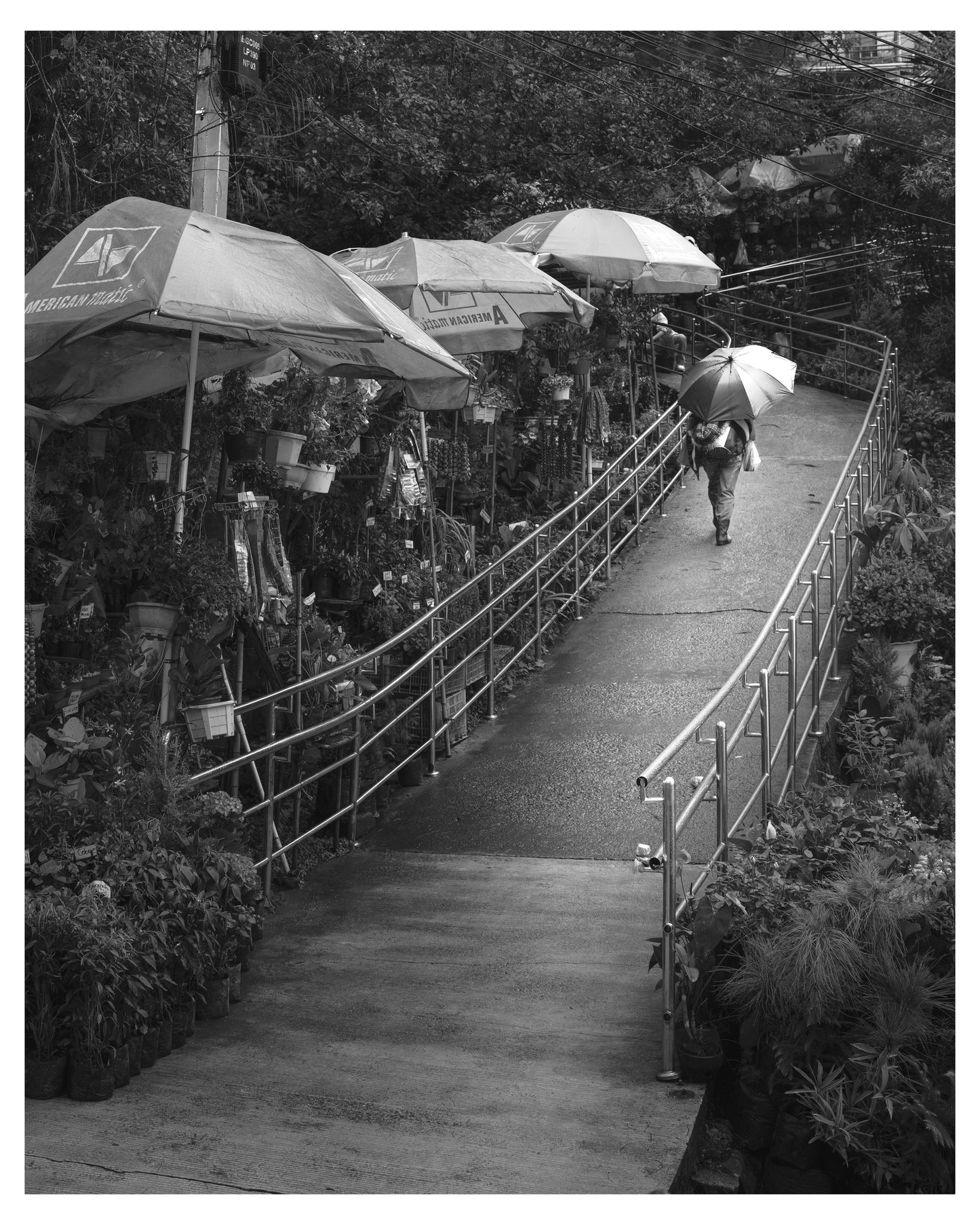 Flower Market