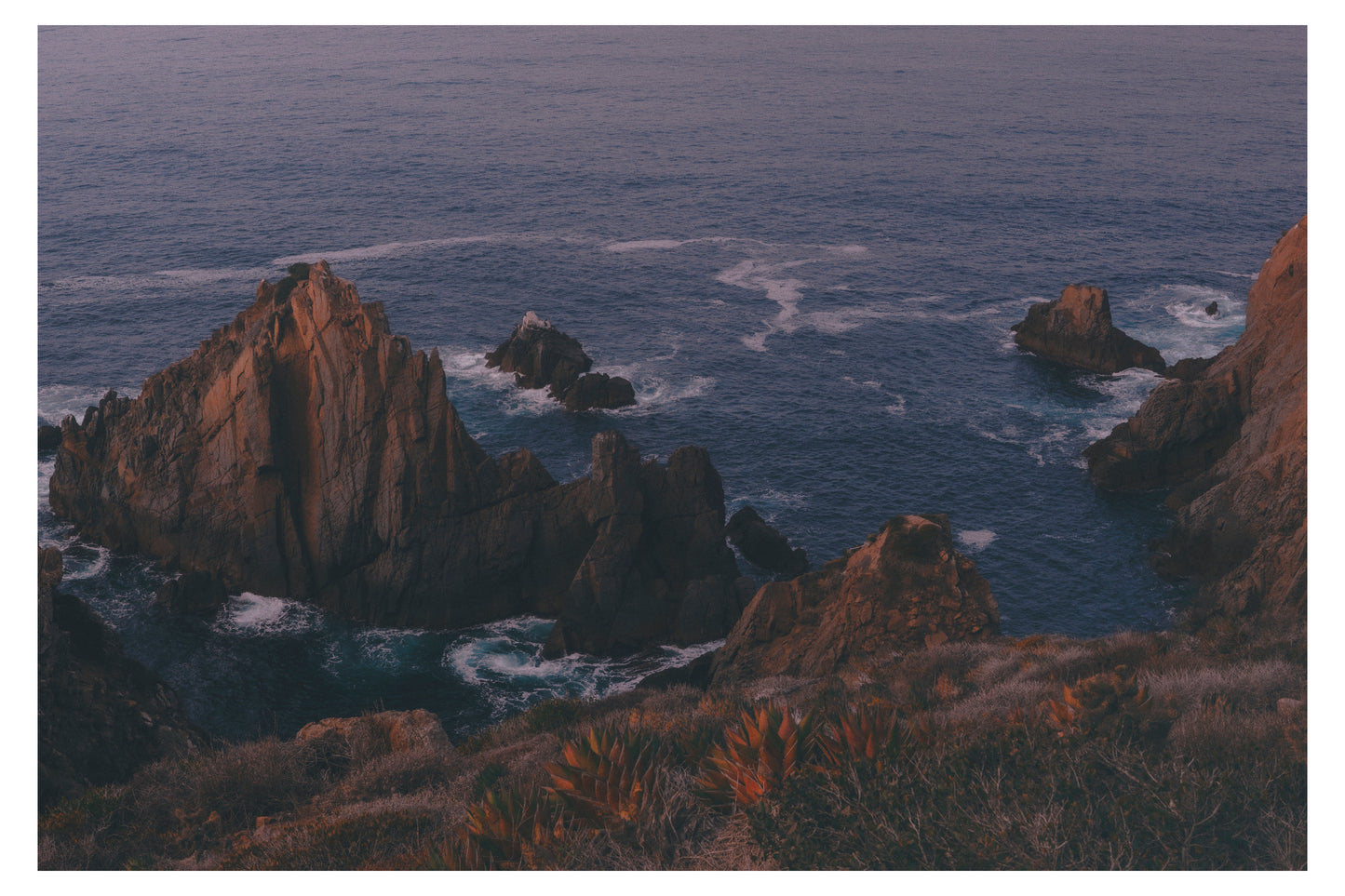 Mexican Shore