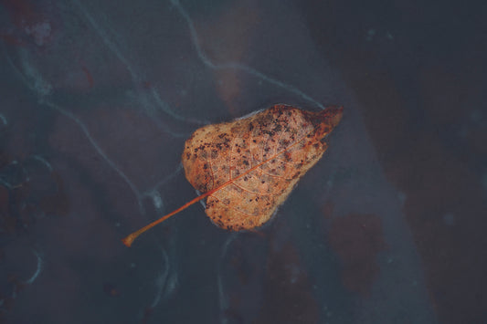 Fallen