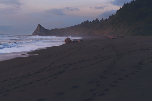 Footsteps