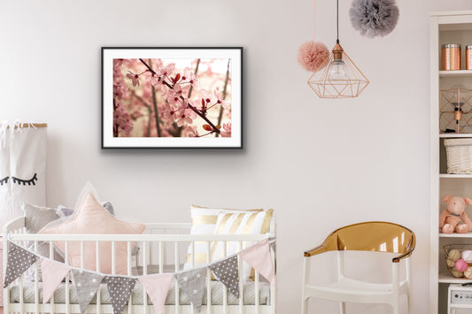 Blossom