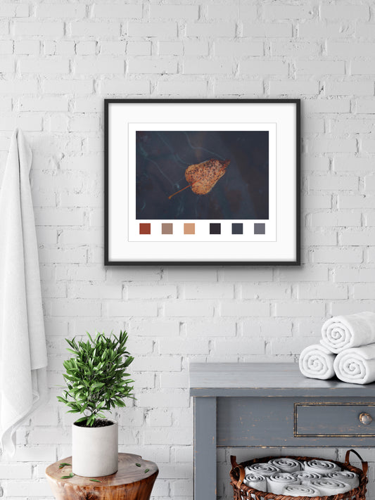 Giclée - Fallen
