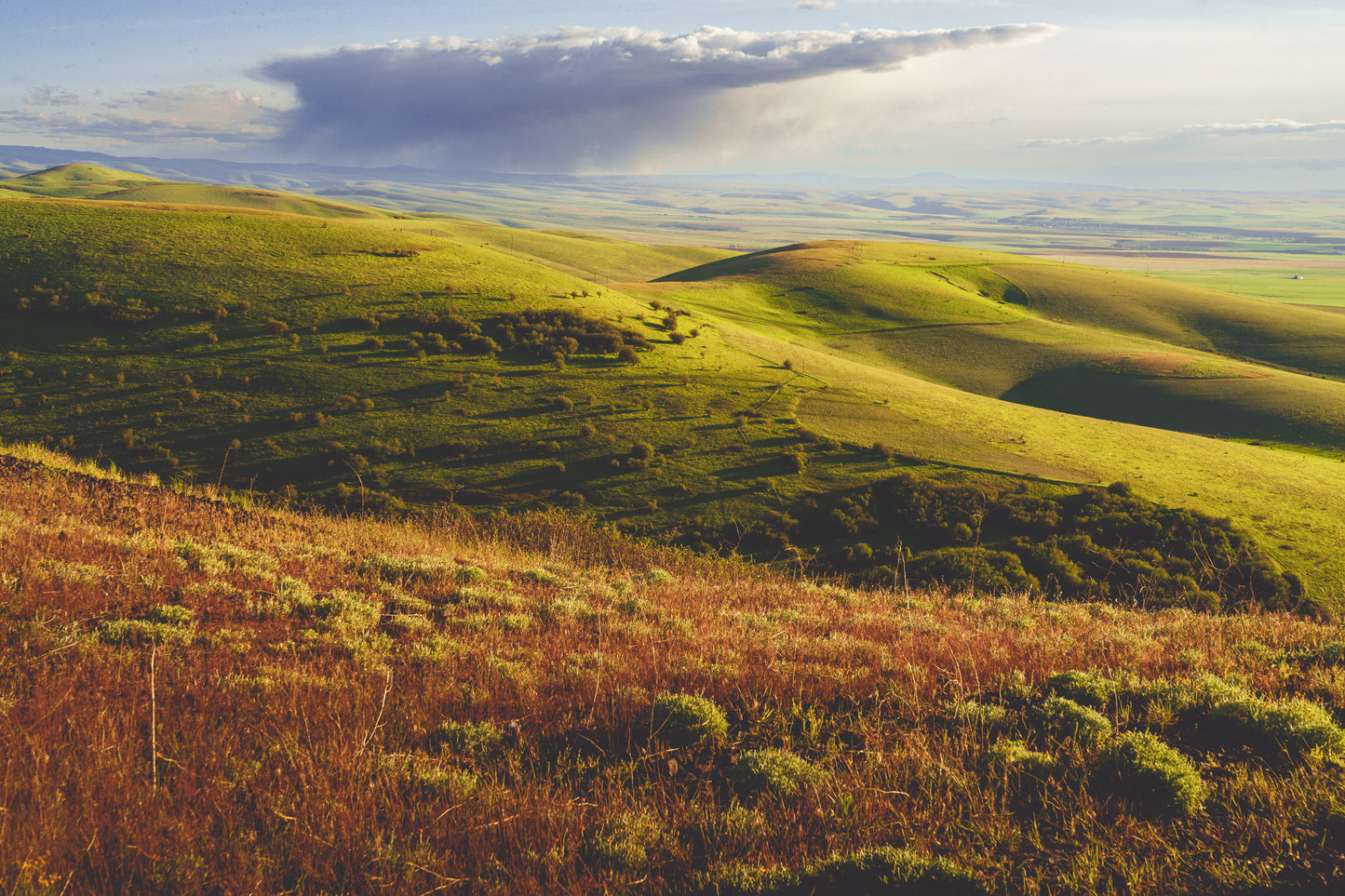 Giclée - Rolling Hills