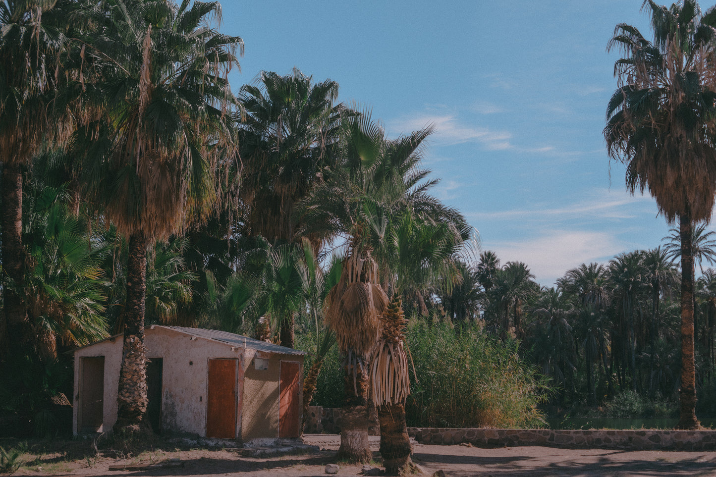 Where the Wild Things Pee